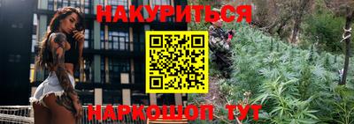 ешки Новодвинск
