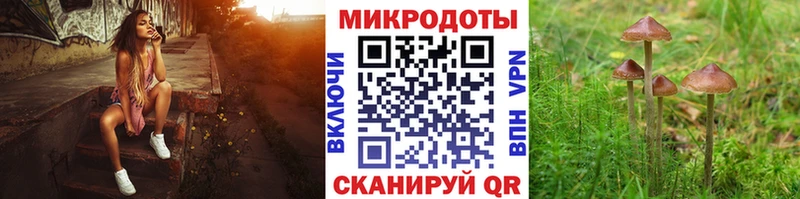 купить наркотик  Новочебоксарск  Галлюциногенные грибы мухоморы 