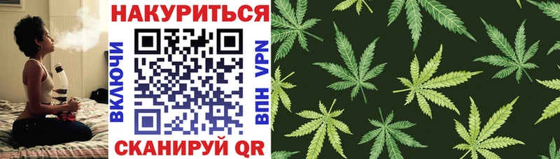 Марихуана гибрид  цены   Новочебоксарск 